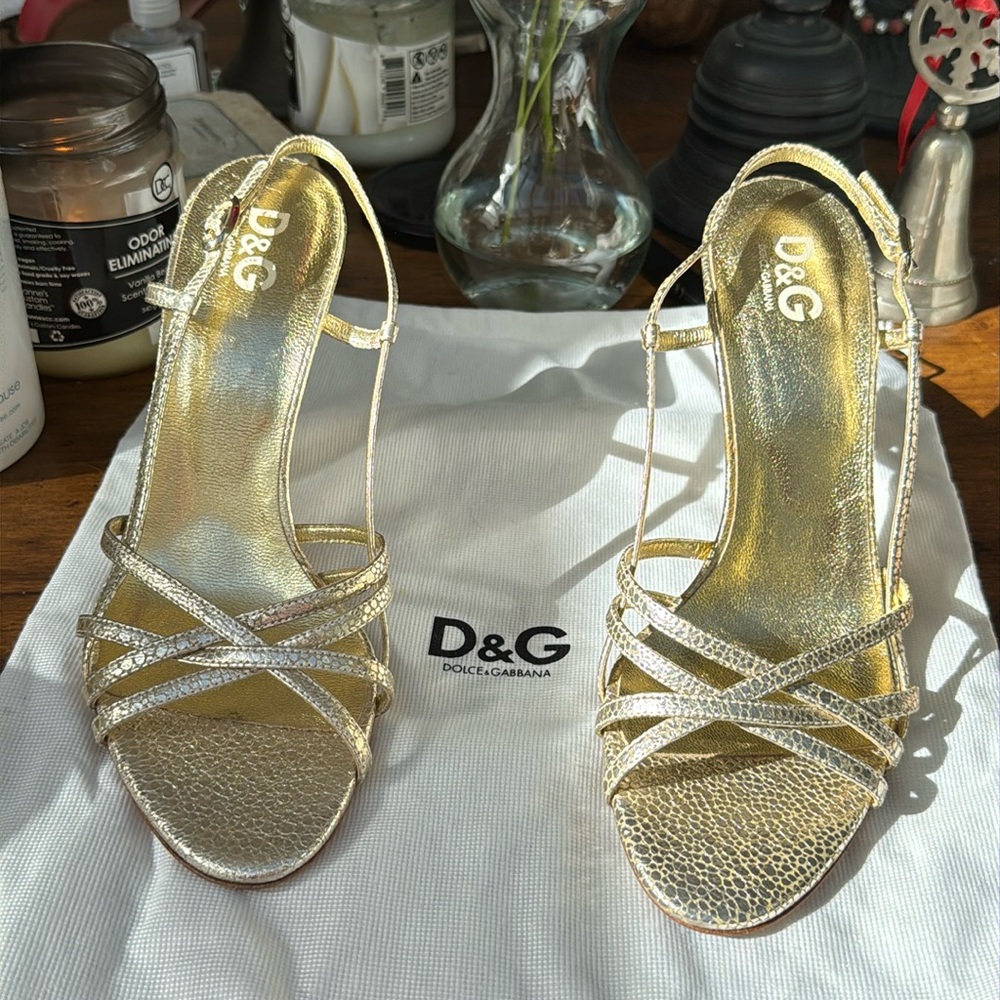 D&G size 8  NWT!
